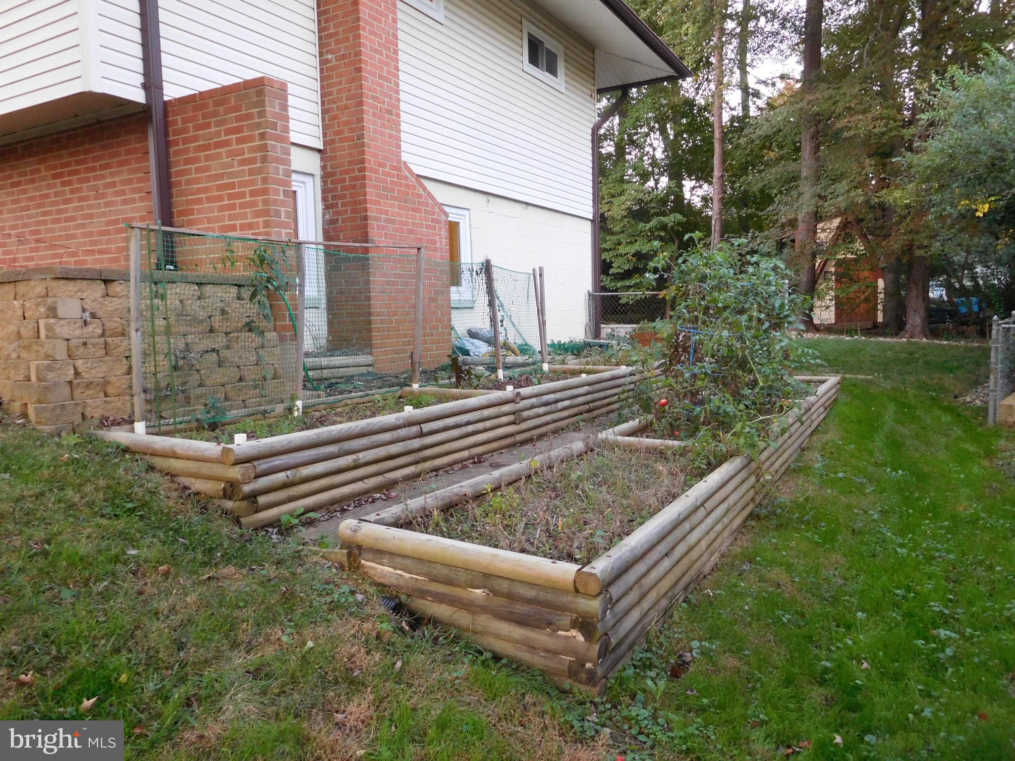11106 Del Rio Drive Fairfax, VA 22030 - Photo 4 of 48 Vegetable Garden Area