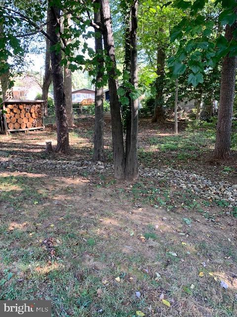 11106 Del Rio Drive Fairfax, VA 22030 - Photo 10 of 48 Lots of Room for Play Equipment