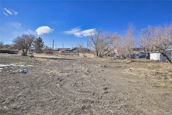 a view of a dry yard with trees