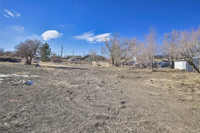 a view of a dry yard with trees