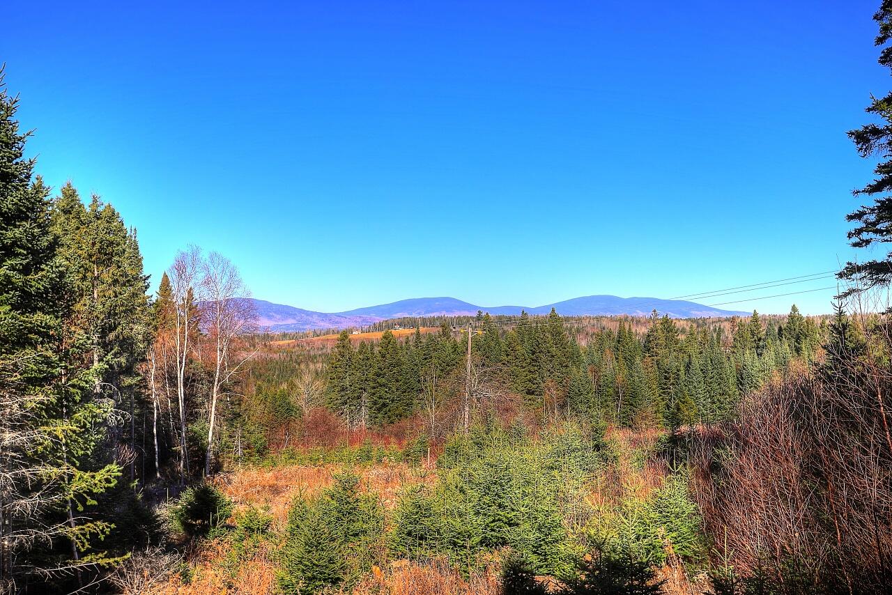 8 Summit Road Sandy River Plt, ME 04970 - Photo 6 of 36 IMG_1432_3_4_5_6_7_8_Enhancer