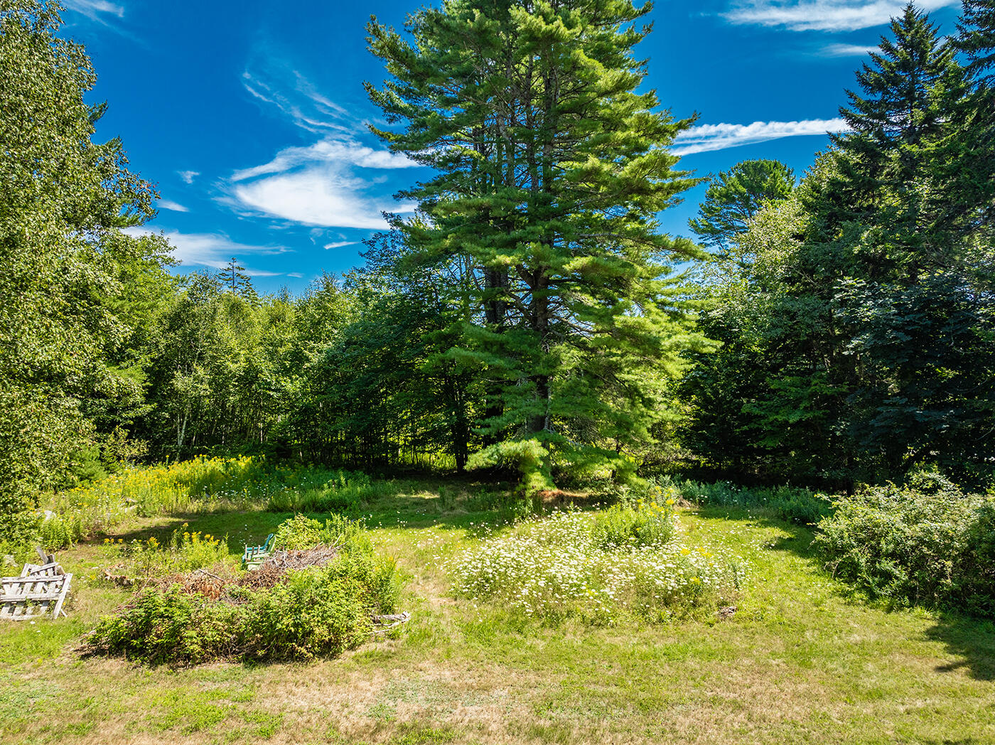 39 Turkey Cove Road Tenants Harbor, ME 04860 - Photo 49 of 77 DJI_0949