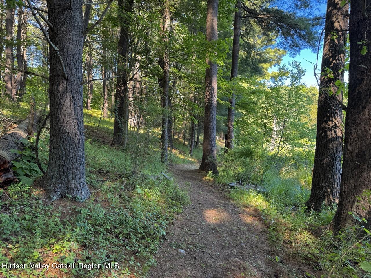 177 Webber Road Earlton, NY 12058 - Photo 29 of 50 a view of a trees in a yard