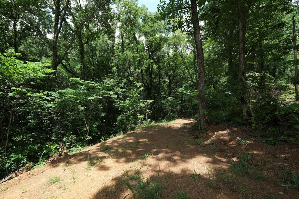 0 Blowing Cave Road Sevierville, TN 37876 - Photo 4 of 34 Gallery Image 4