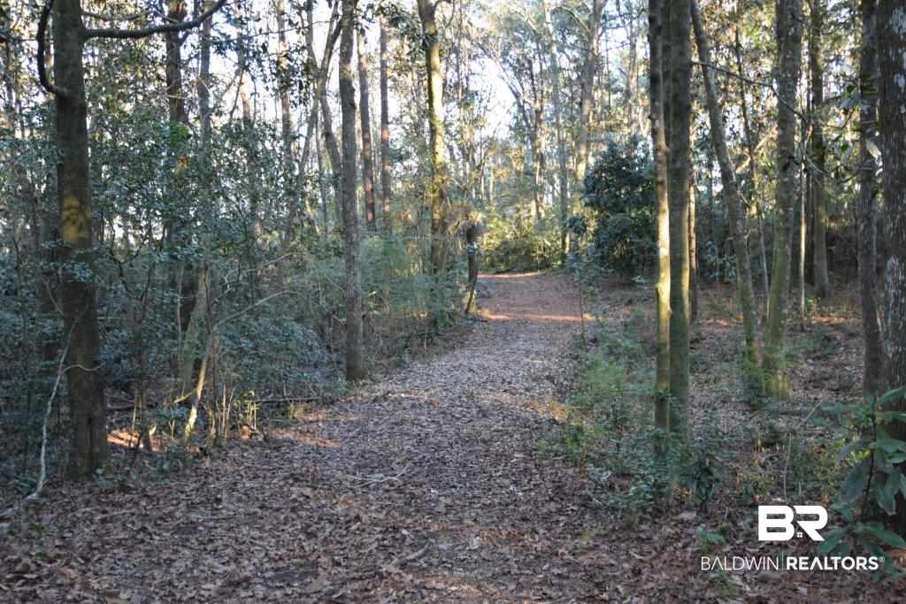 0 Riviere Du Chien Mobile, AL 36693 - Photo 14 of 17