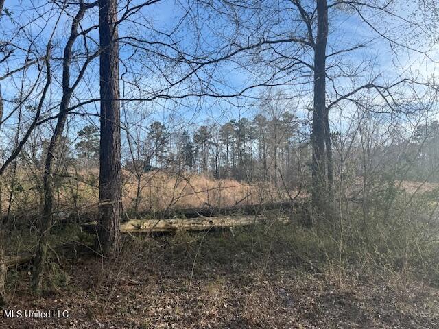 1 Slocum Road Hernando, MS 38632 - Photo 11 of 11 IMG_3874