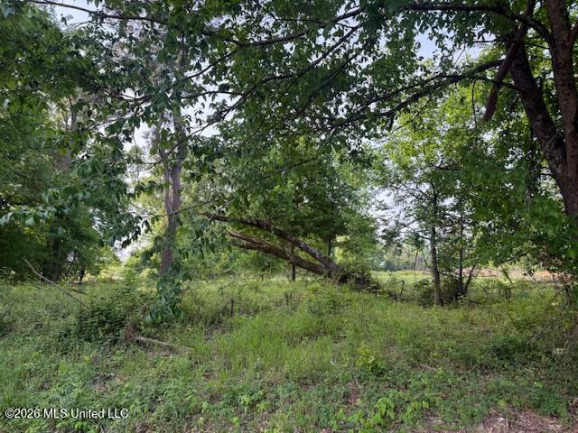 1 Slocum Road Hernando, MS 38632 - Photo 2 of 11 IMG_7199