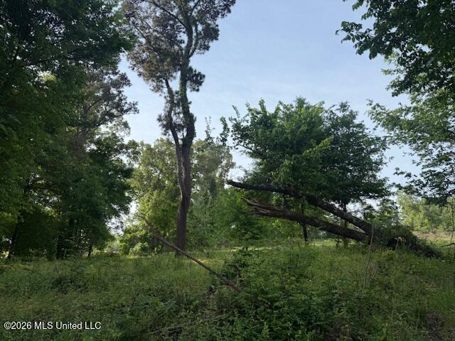 1 Slocum Road Hernando, MS 38632 - Photo 3 of 11 IMG_7200