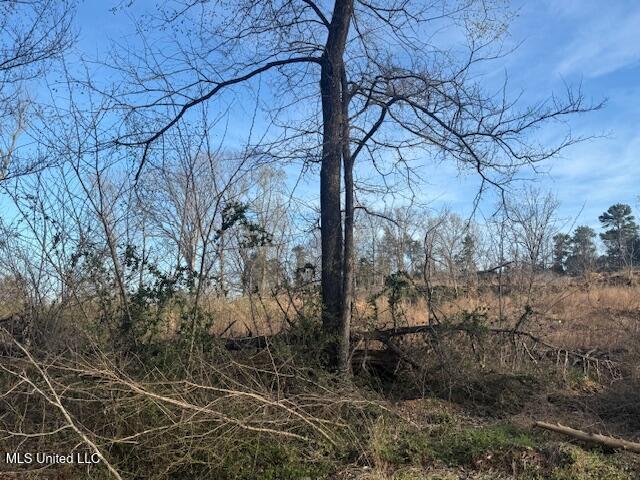 1 Slocum Road Hernando, MS 38632 - Photo 3 of 5 IMG_3872