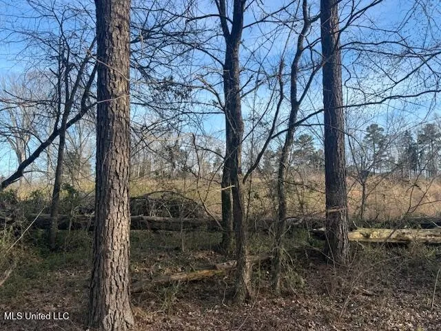 $169,000 | 1 Slocum Road, Hernando, MS 38632