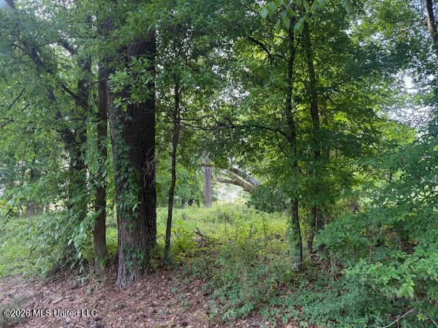 1 Slocum Road Hernando, MS 38632 - Photo 5 of 11 IMG_7205