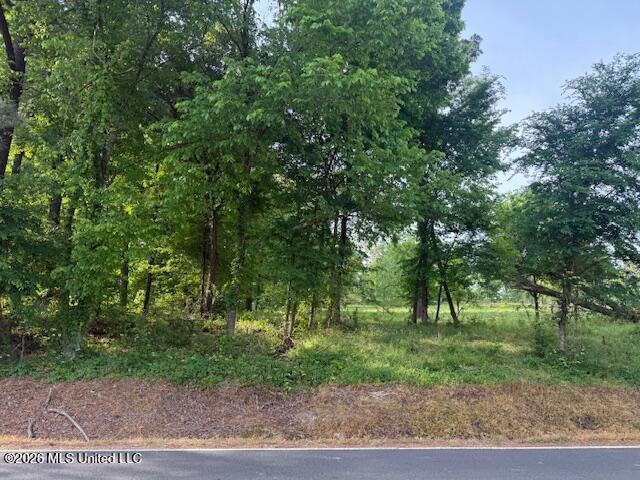 1 Slocum Road Hernando, MS 38632 - Photo 6 of 11 IMG_7206