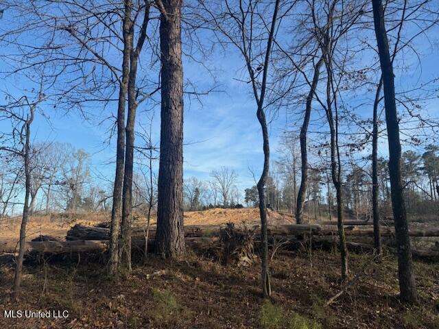 1 Slocum Road Hernando, MS 38632 - Photo 7 of 11 IMG_3869