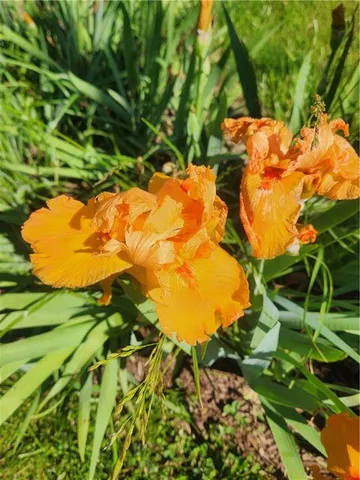 $559,000 | 15500 70th Road Southeast, Faucett, MO 64448