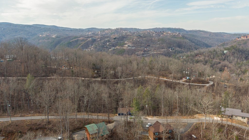 454 Loop Road Gatlinburg, TN 37738 - Photo 30 of 34 Gallery Image 30