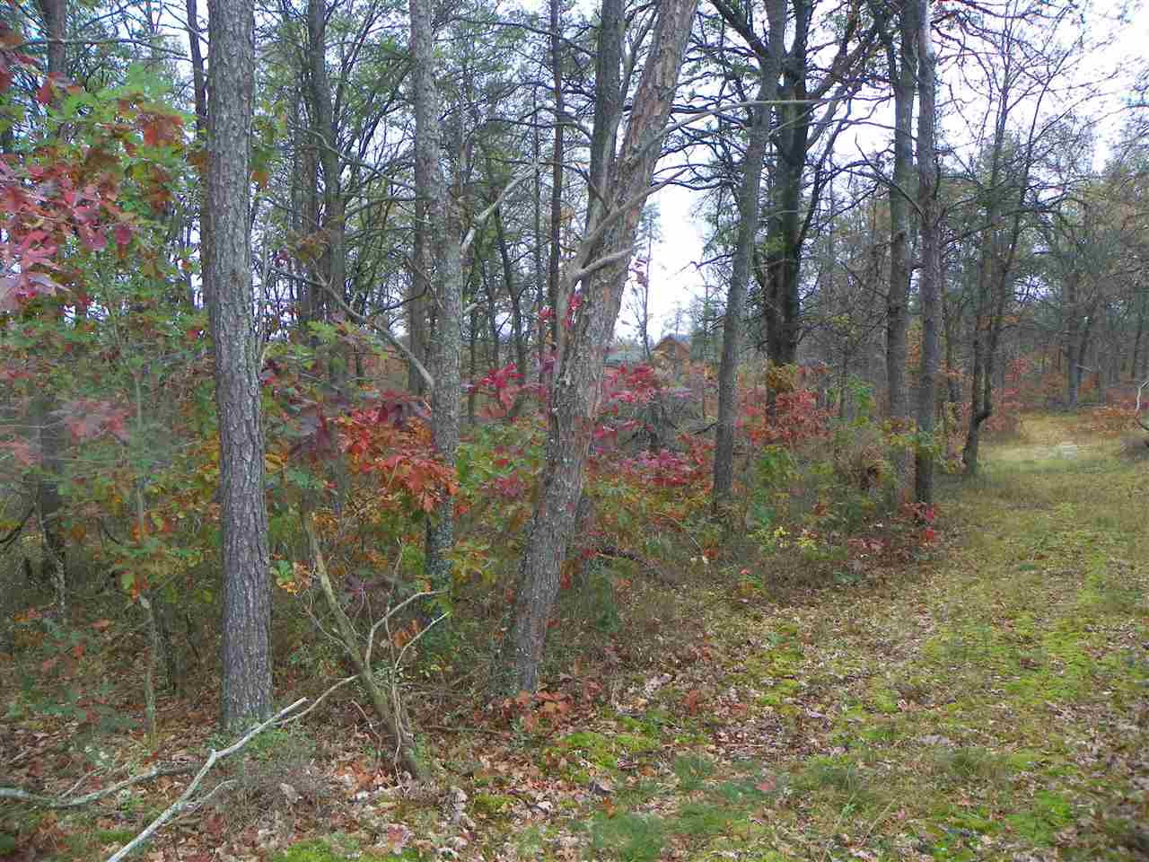 762 State Road Harrison, MI 48625 - Photo 14 of 46
