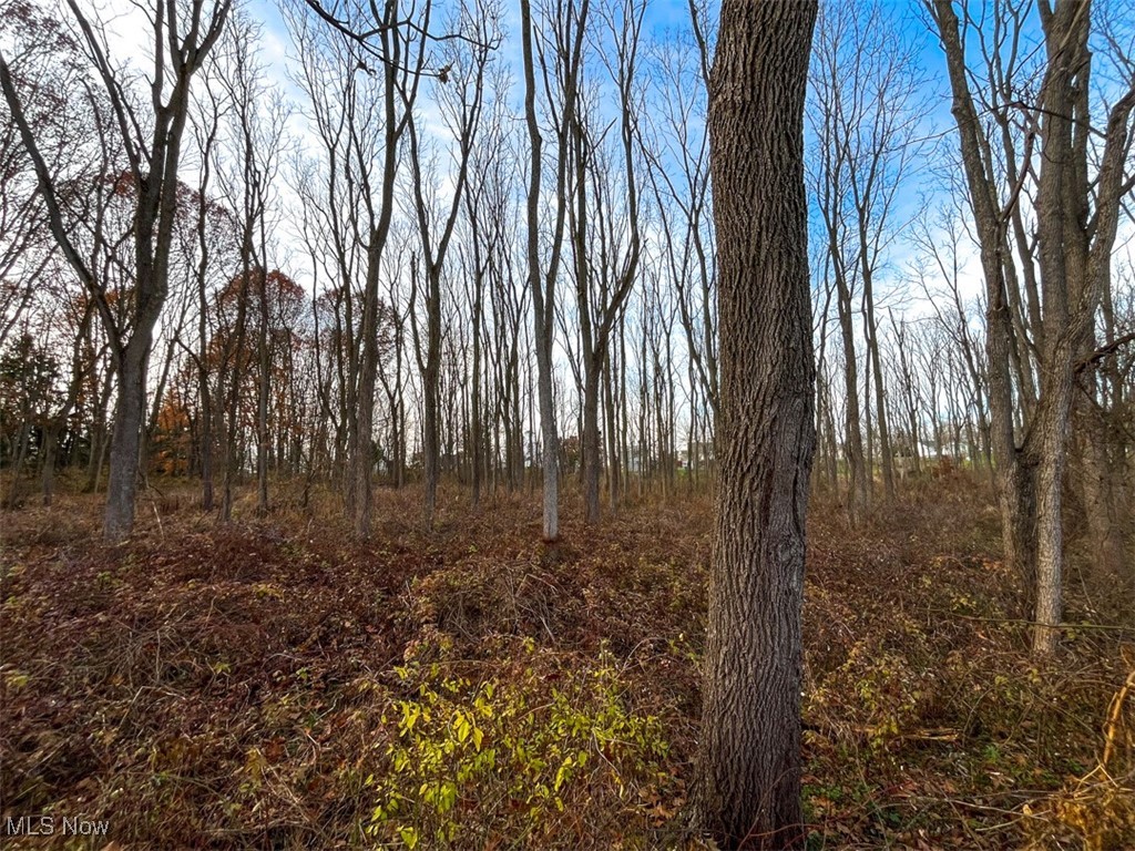 0 Harvey Circle Rittman, OH 44270 - Photo 18 of 35 View of local wilderness