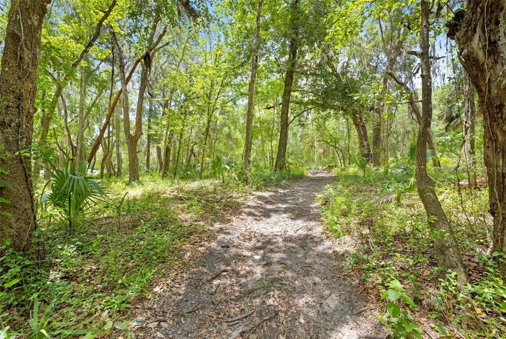 0 Ricebird Avenue, Unit LOT 89 Weeki Wachee, FL 34614 - Photo 25 of 27