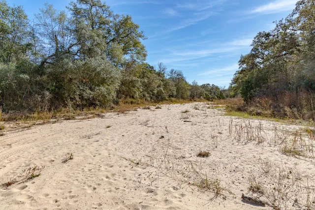 a view of a yard with trees