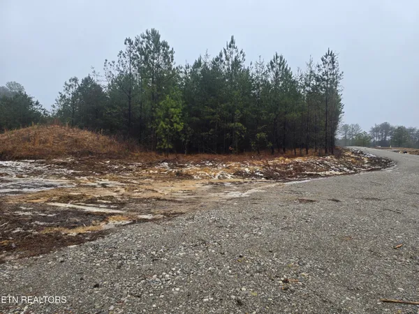 $120,000 | Lot 12 Stirrup Lane, Jamestown, TN 38556