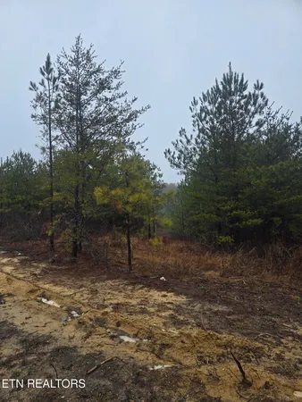 $120,000 | Lot 12 Stirrup Lane, Jamestown, TN 38556