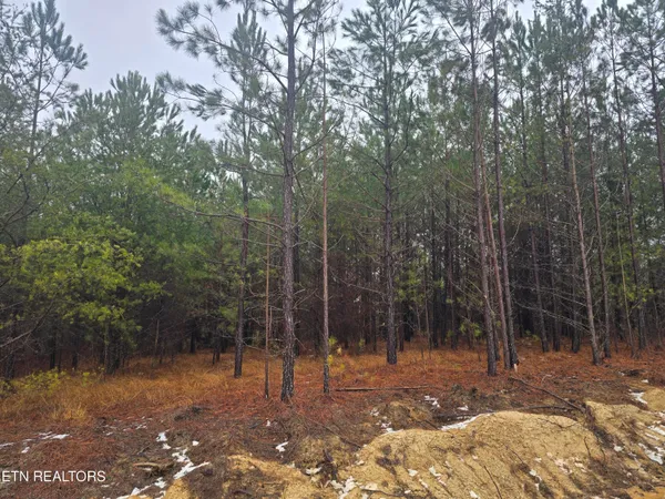$120,000 | Lot 12 Stirrup Lane, Jamestown, TN 38556