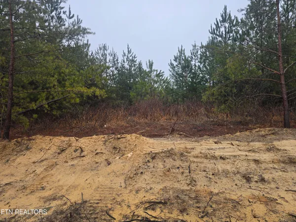 $120,000 | Lot 12 Stirrup Lane, Jamestown, TN 38556