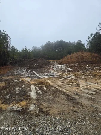 $120,000 | Lot 12 Stirrup Lane, Jamestown, TN 38556