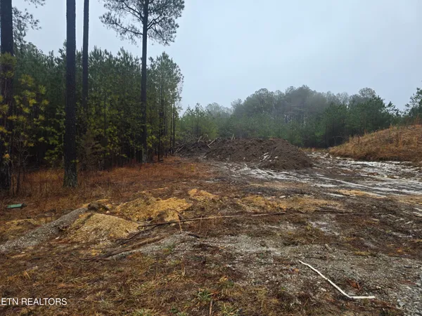 $120,000 | Lot 12 Stirrup Lane, Jamestown, TN 38556