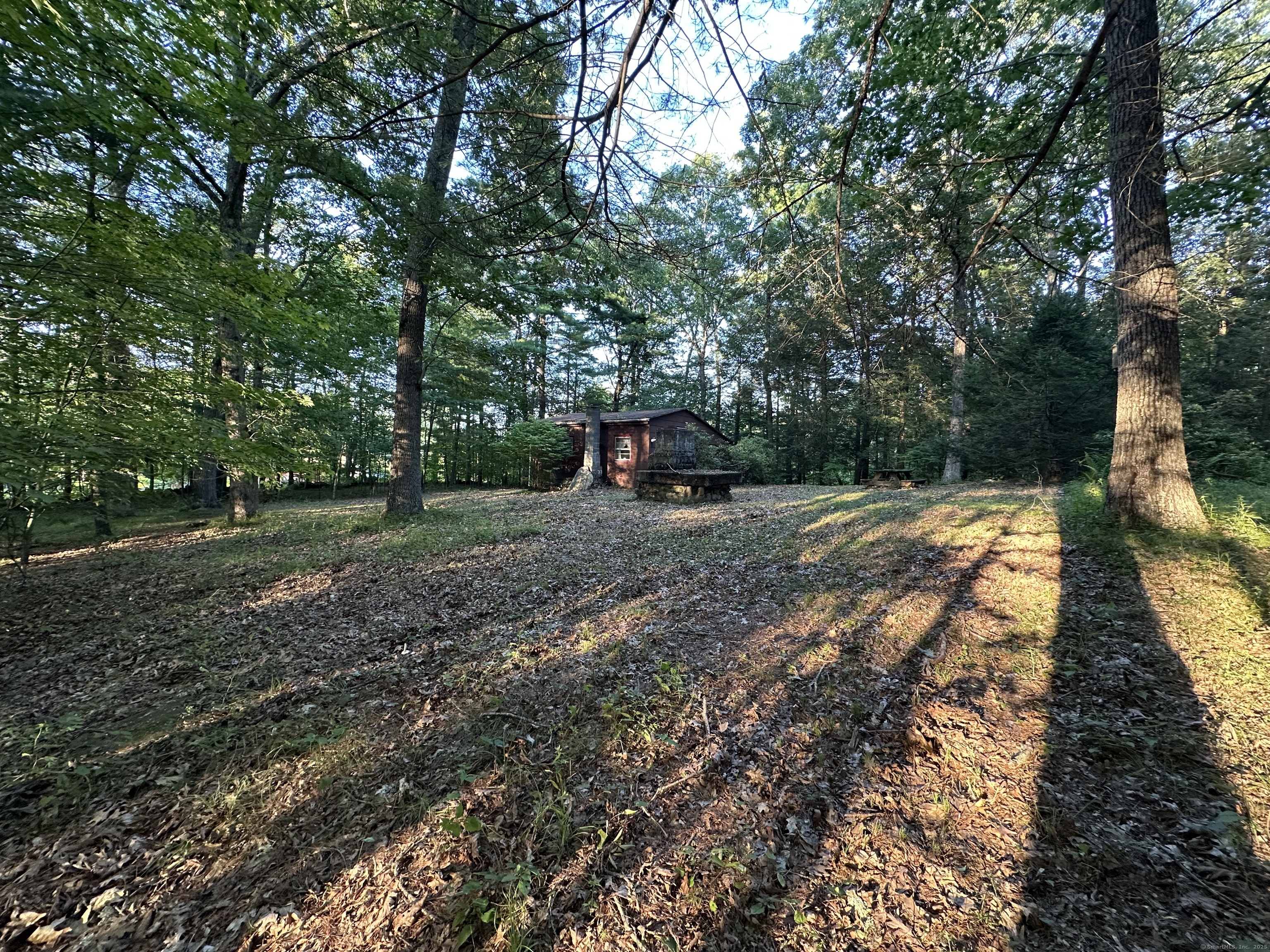 19 Potter Road Stafford, CT 06076 - Photo 11 of 18 a view of a backyard with large trees
