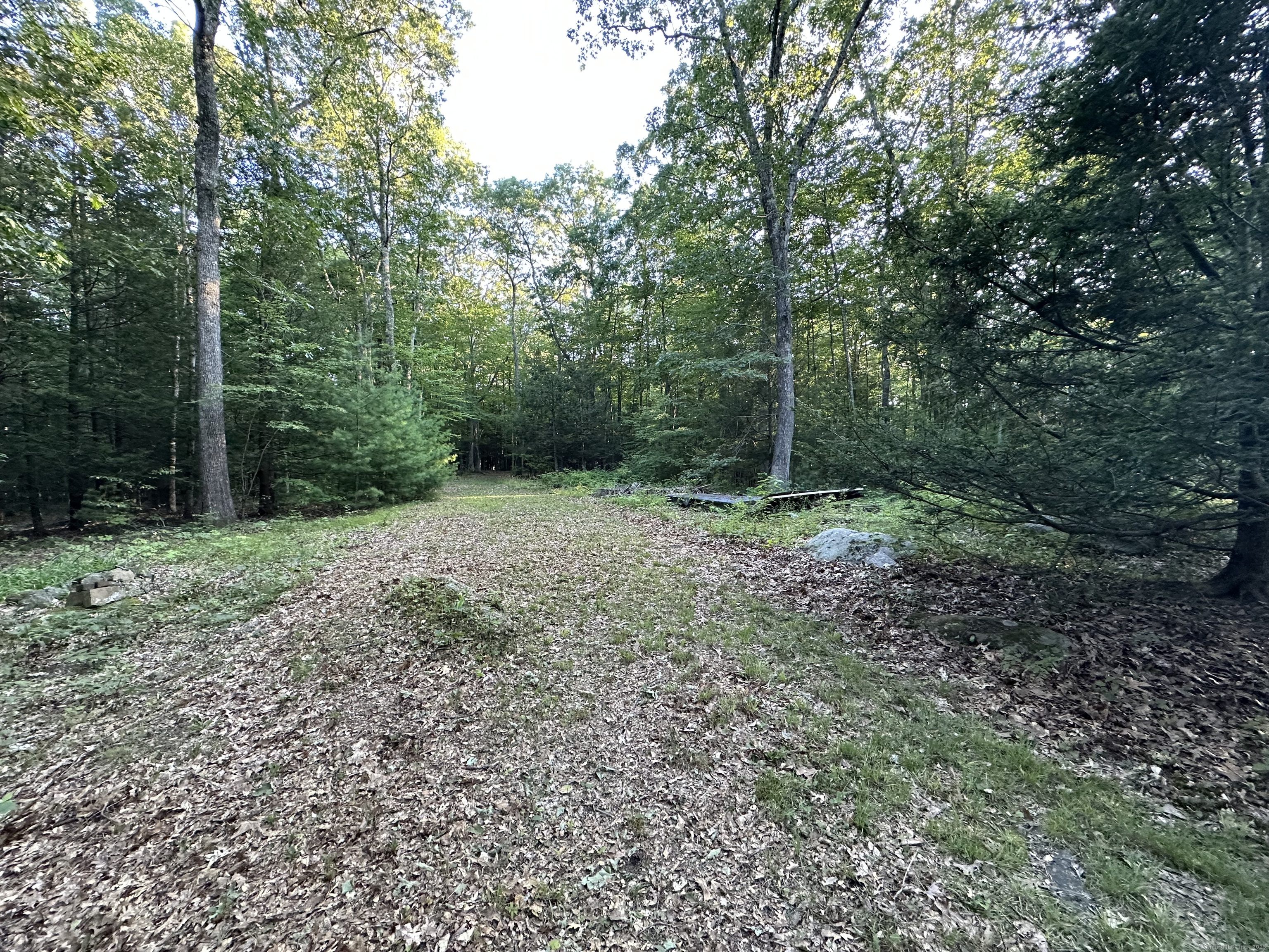 19 Potter Road Stafford, CT 06076 - Photo 12 of 18 a big yard with lots of green space and deers