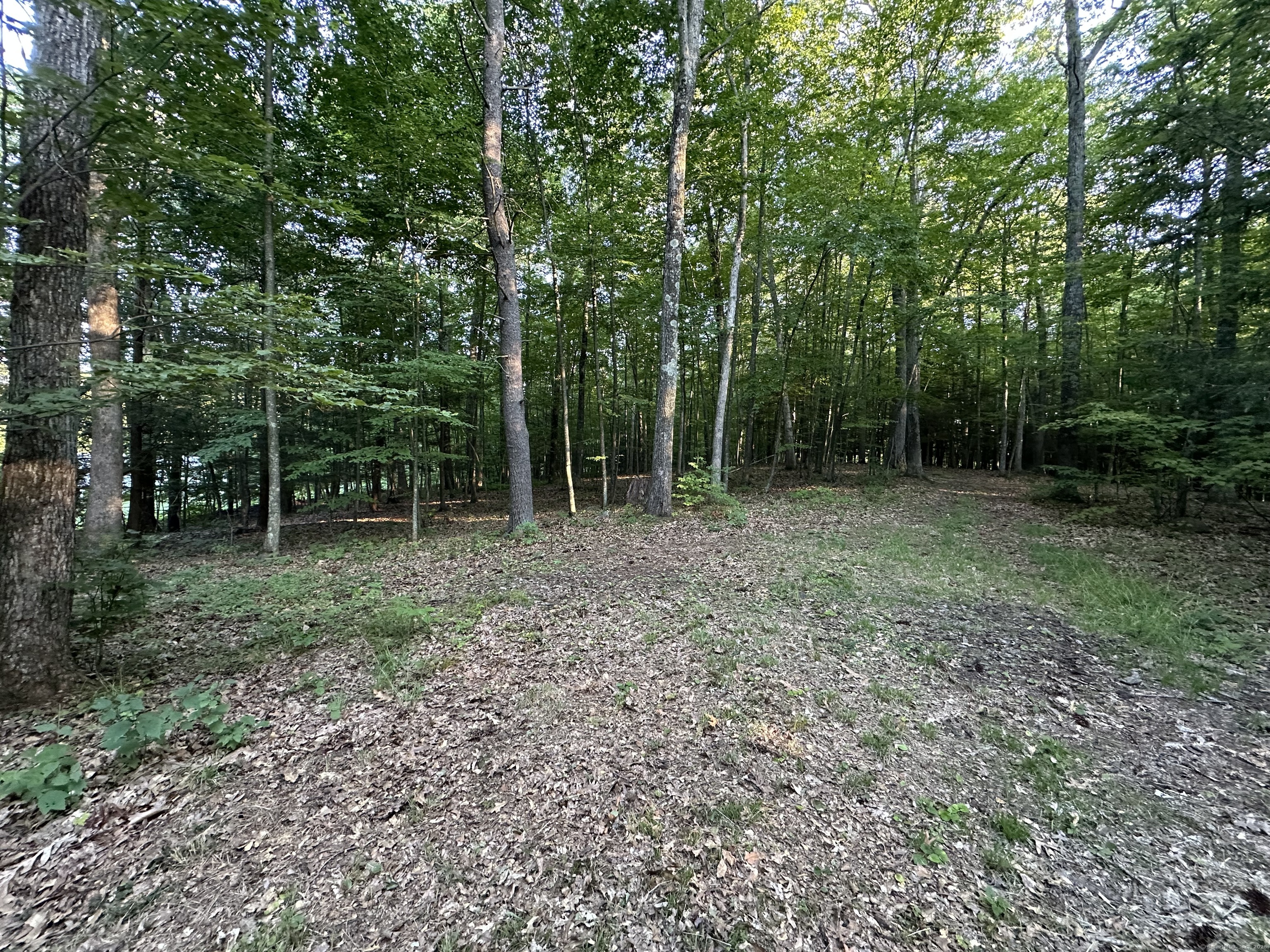 19 Potter Road Stafford, CT 06076 - Photo 13 of 18 a view of outdoor space with trees all around