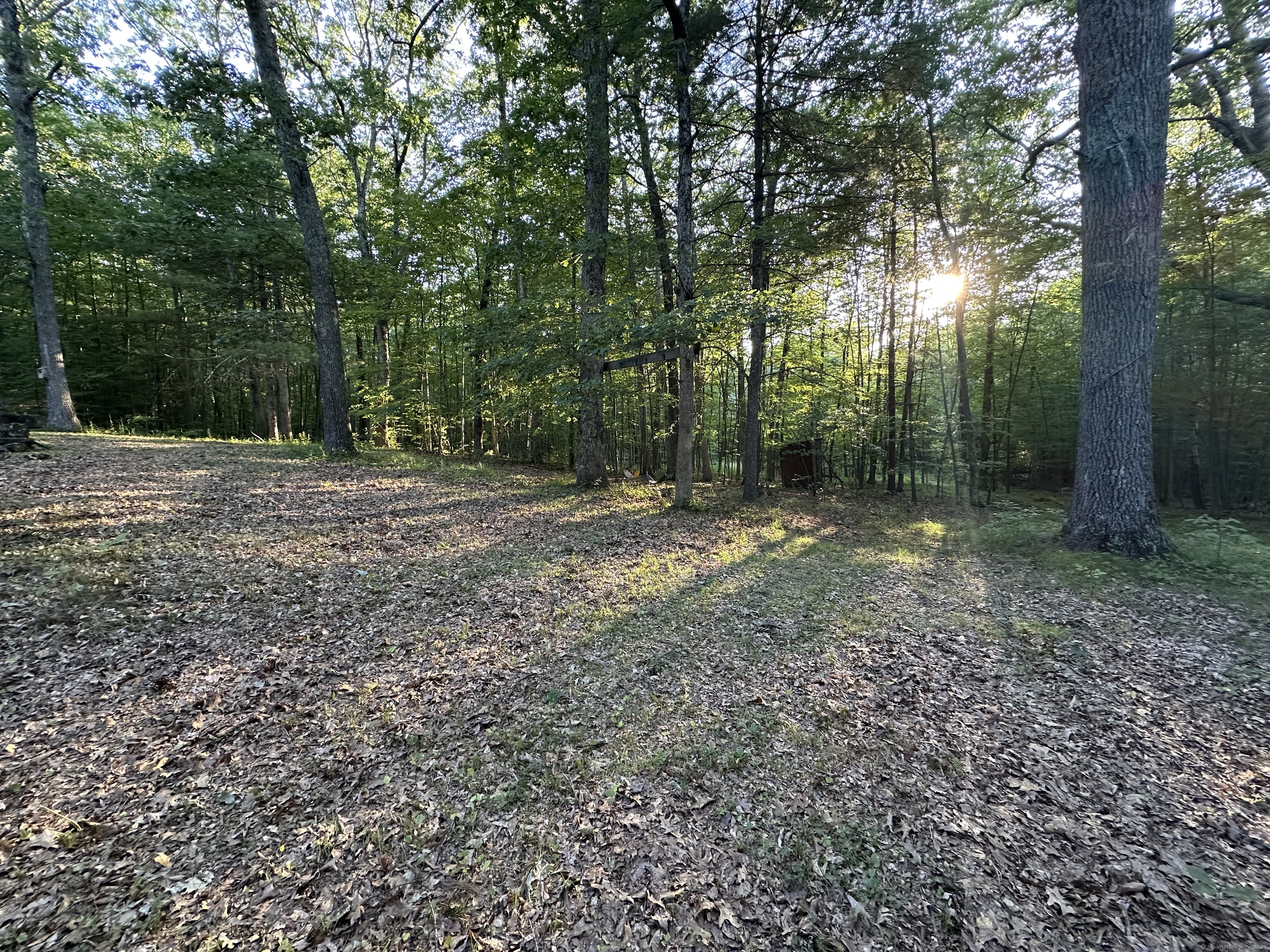 19 Potter Road Stafford, CT 06076 - Photo 3 of 18 a view of a yard with trees in the background