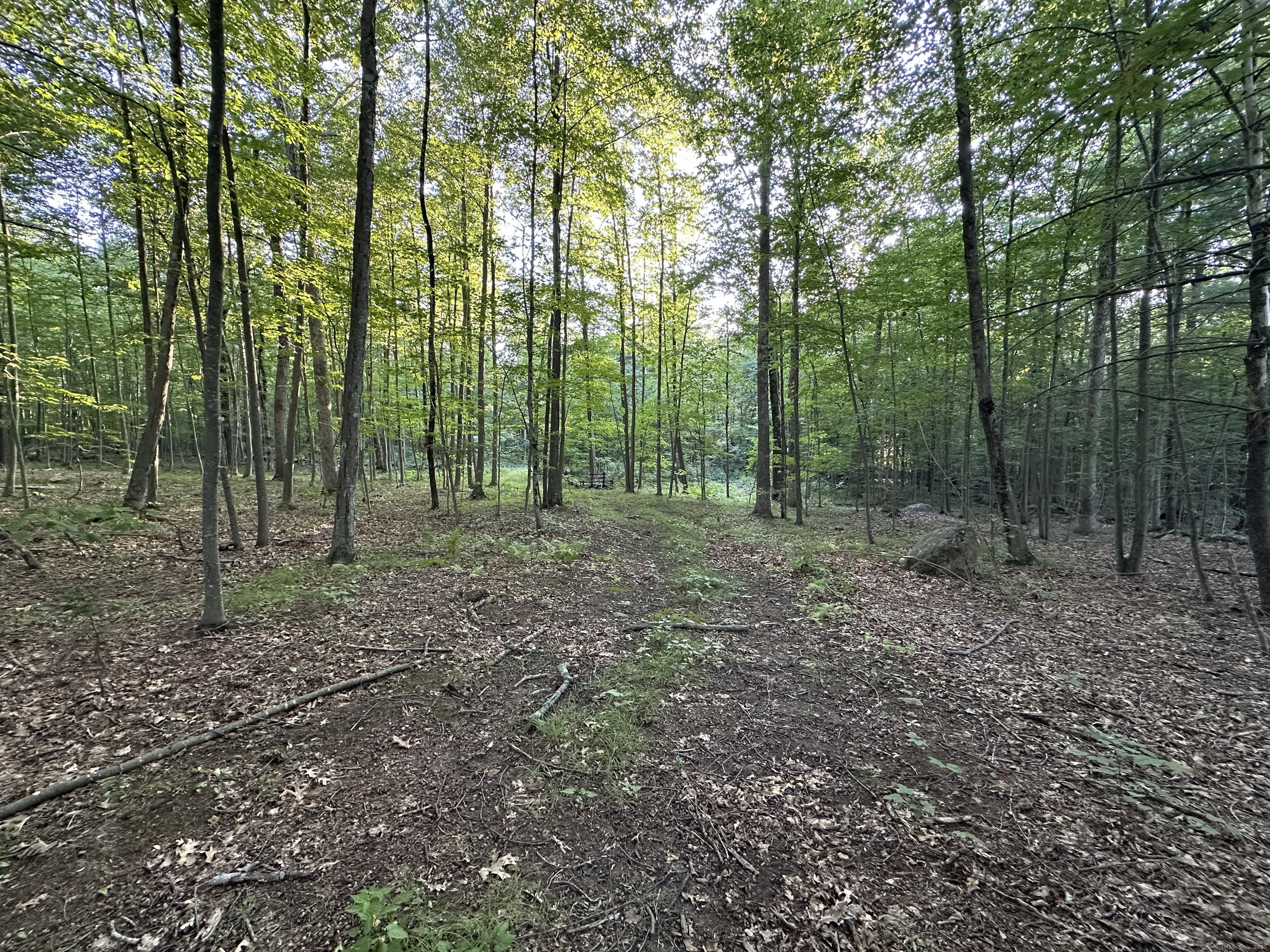 19 Potter Road Stafford, CT 06076 - Photo 4 of 18 a view of outdoor space and green space