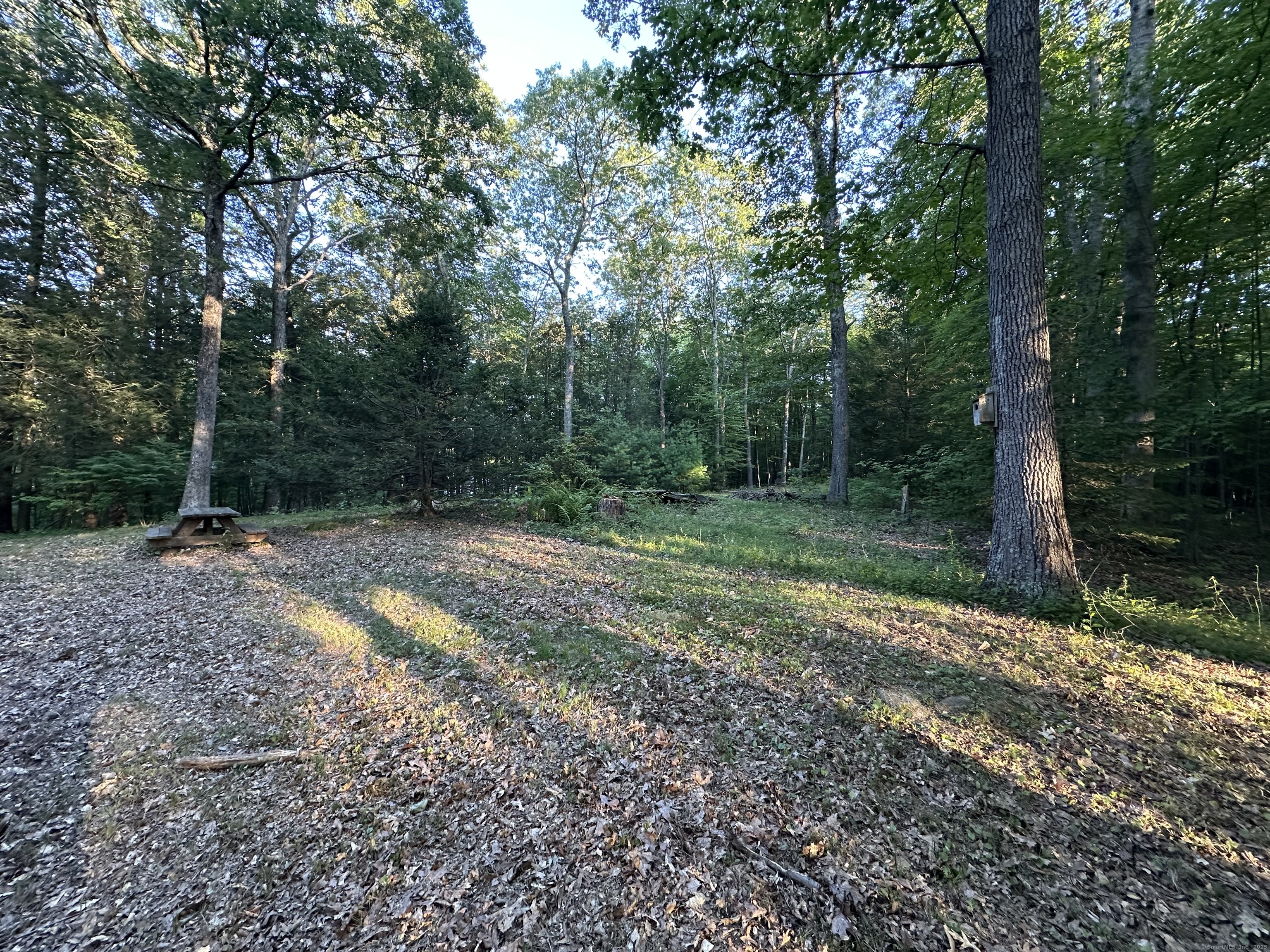 19 Potter Road Stafford, CT 06076 - Photo 10 of 18 a view of a backyard with trees