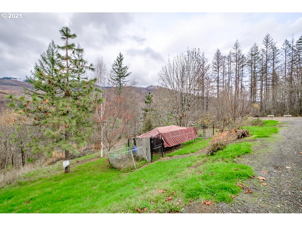 11035 Winstanley Lyons Or 97358 Lyons, OR 97358 - Photo 30 of 31 a view of a backyard with potted plants and large trees
