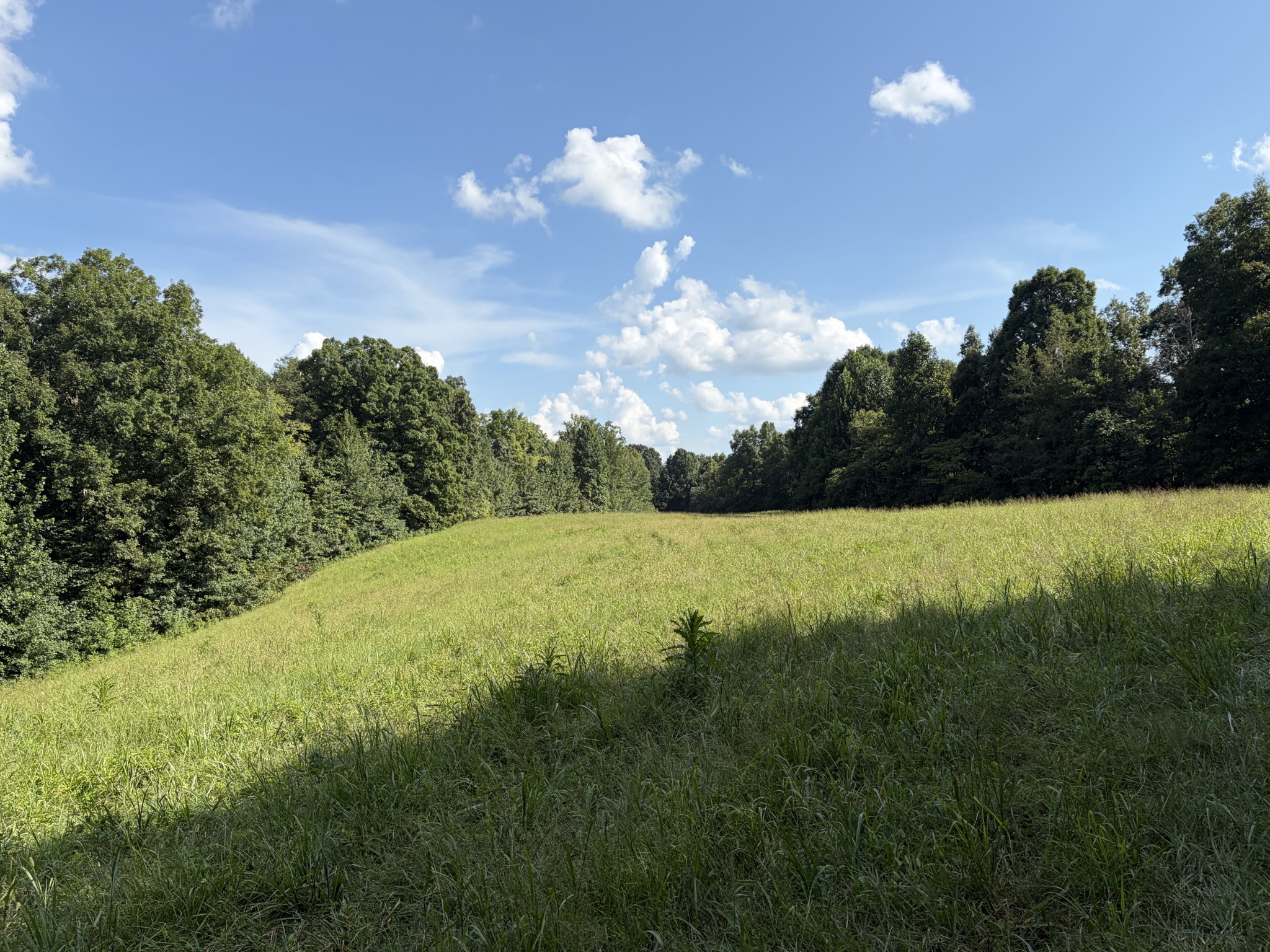 1448 Williams Hollow Road Pulaski, TN 38478 - Photo 63 of 70 Gallery Image 63