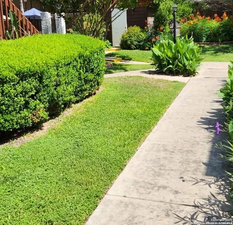 a view of a garden with a bench