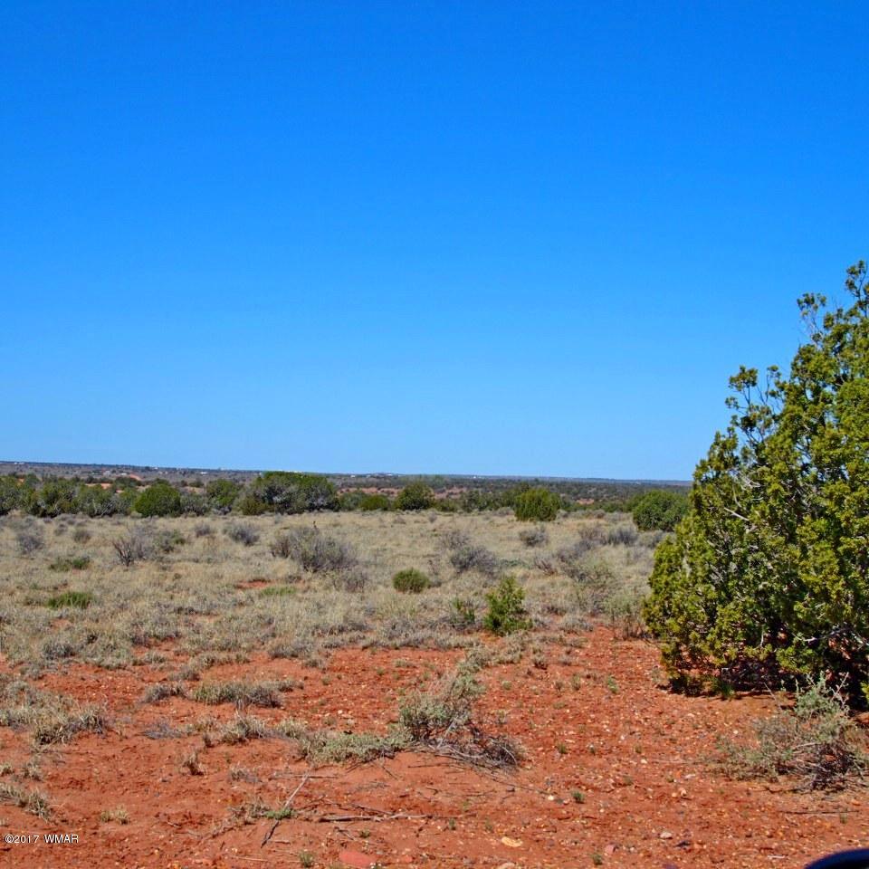 4959 Horse Shoe Road Snowflake, AZ 85937 - Photo 20 of 27