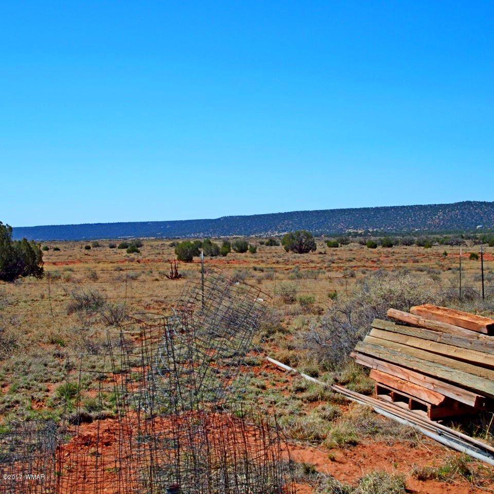 4959 Horse Shoe Road Snowflake, AZ 85937 - Photo 5 of 27