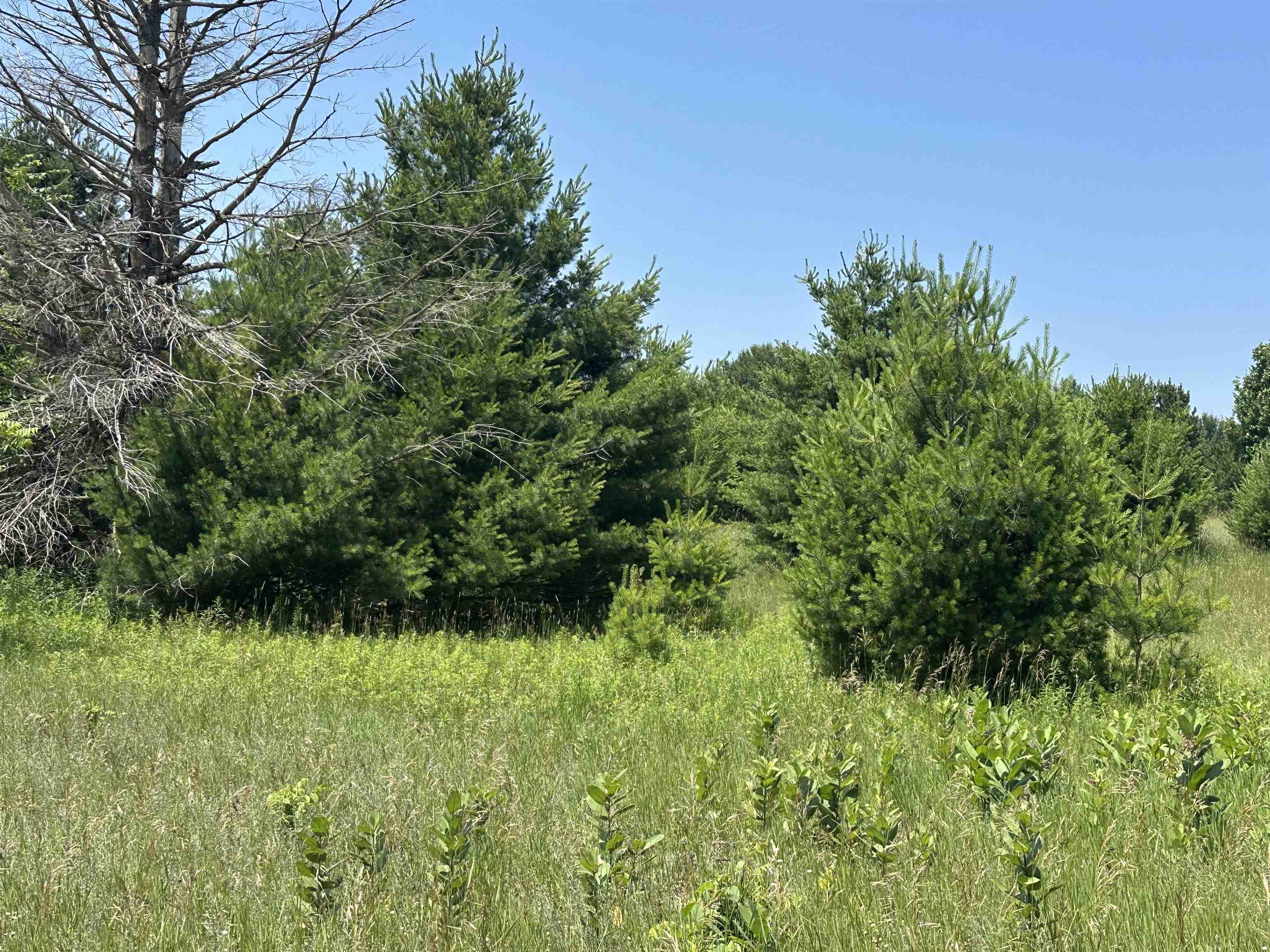 1 Bright Road Maple City, MI 49664 - Photo 3 of 6