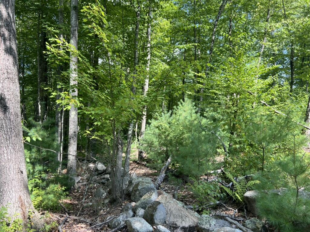 0 County Road Lyman, ME 04002 - Photo 4 of 4 Land