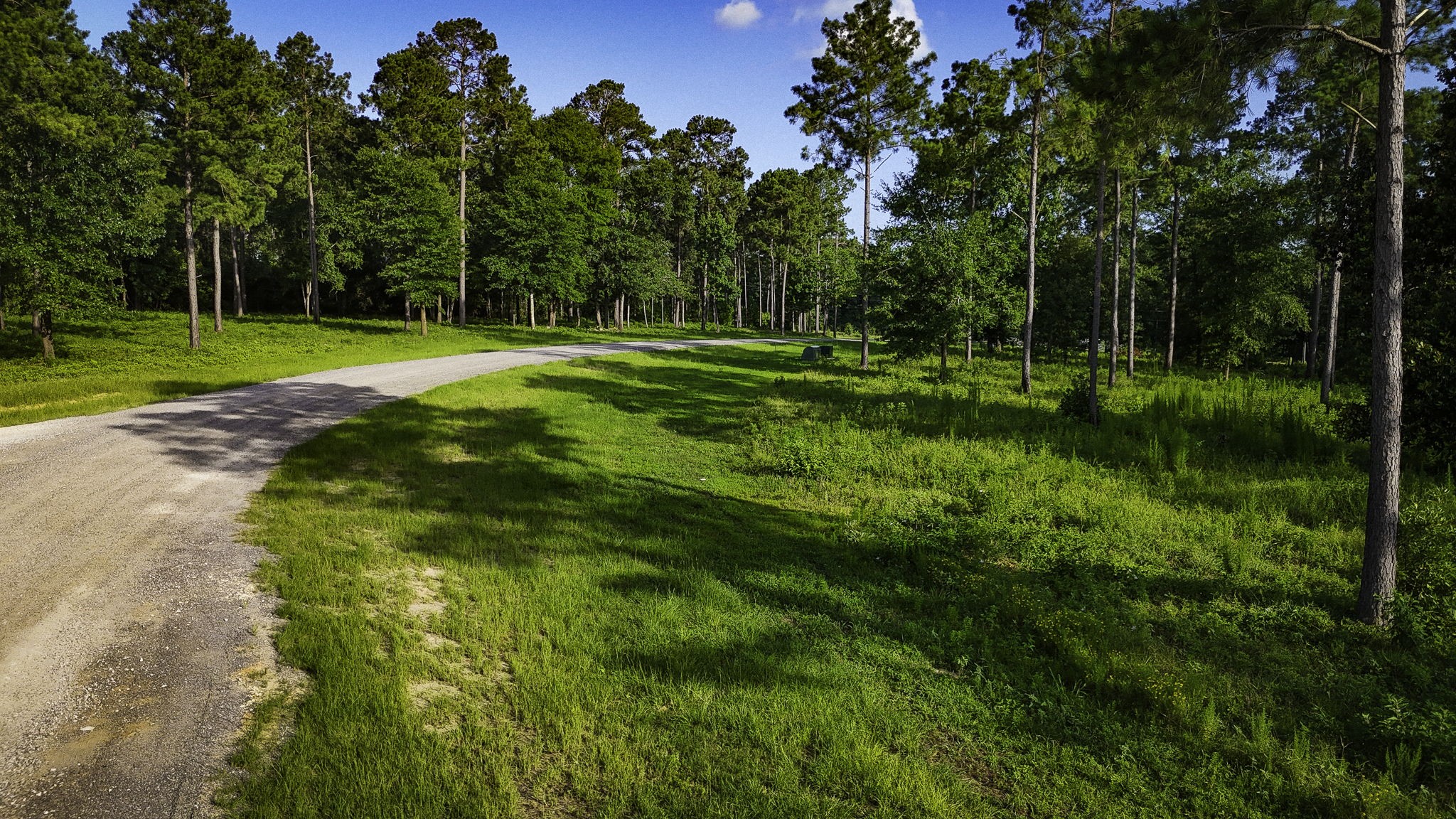Tbd Lot 5 Tbd Road Livingston, TX 77351 - Photo 16 of 24 Gallery Image 16