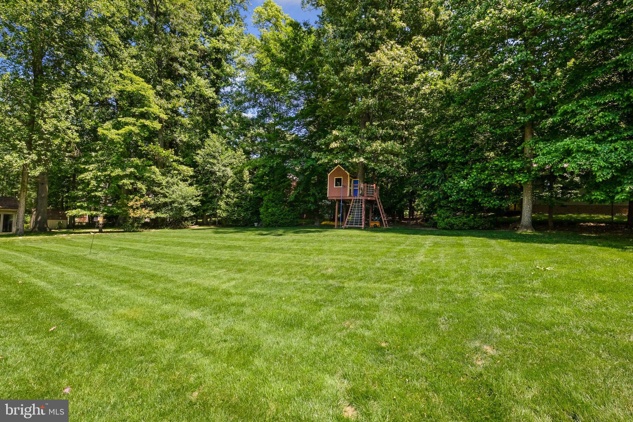 11413 Cushman Road Rockville, MD 20852 - Photo 15 of 30