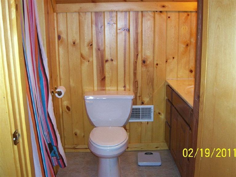 4479 White Road Pierson, MI 49339 - Photo 12 of 19 Additional Photo