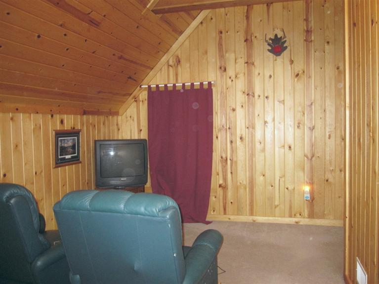4479 White Road Pierson, MI 49339 - Photo 13 of 19 Additional Photo