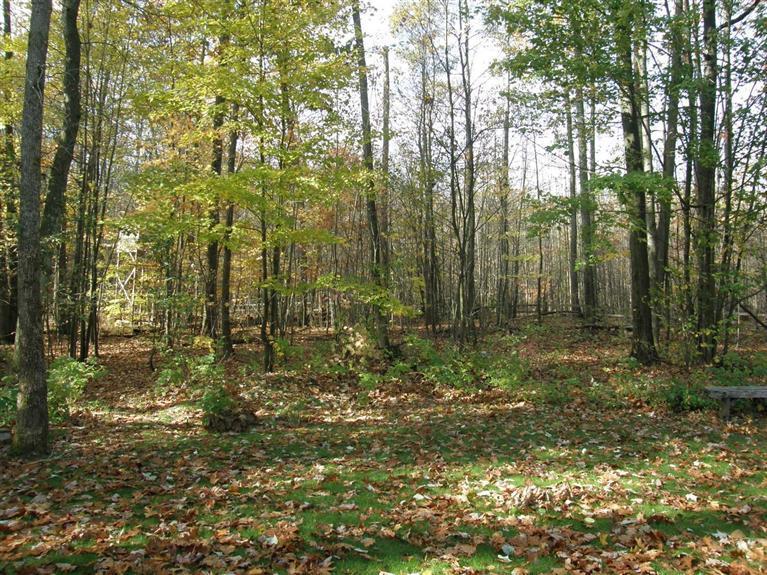 4479 White Road Pierson, MI 49339 - Photo 17 of 19 Additional Photo