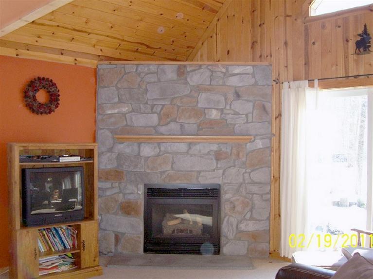 4479 White Road Pierson, MI 49339 - Photo 3 of 19 Additional Photo