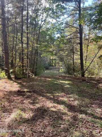 a view of a yard with trees