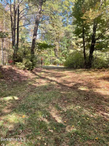 a view of a yard with a trees
